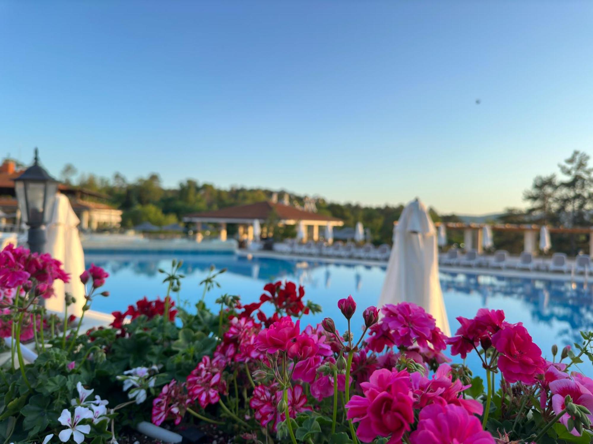 Sm Lovely Apartments On The First Line In Sozopol Exterior foto